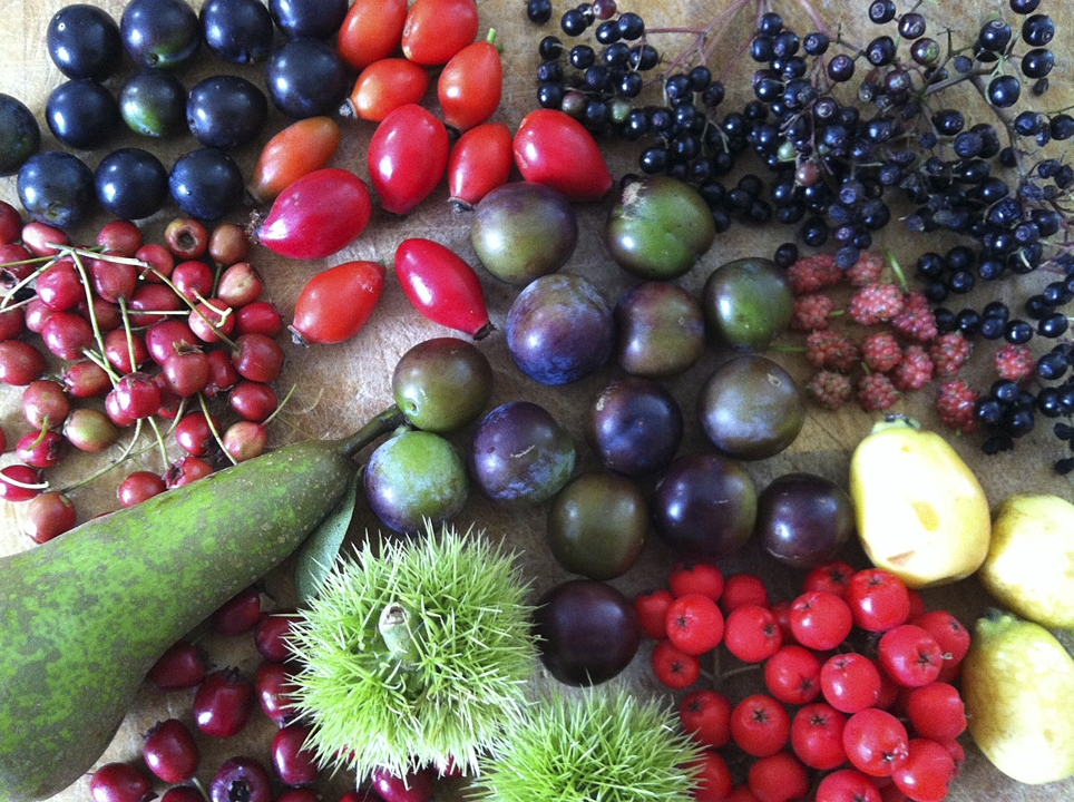 Forage London foraged mixed fruit