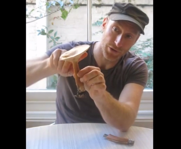 a3b3c02d-a577-4259-8234-b16dce2407cb