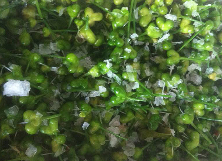 10298667_703486093041019_3062234702700602499_n