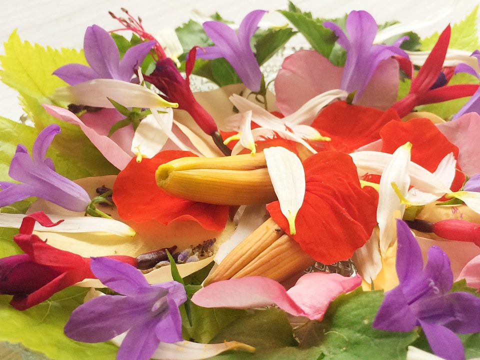 11692518_921177161271910_4476339489973598836_n