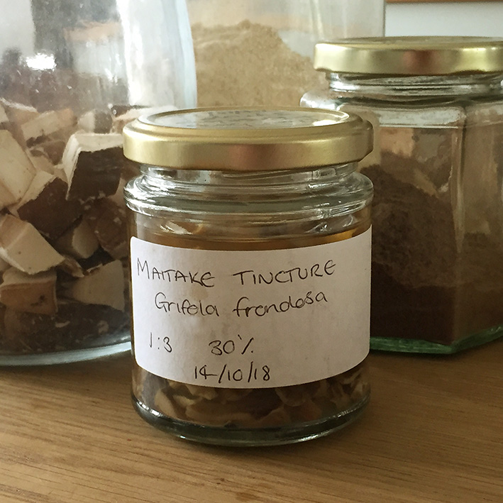 maitake tincture made from foraged mushrooms