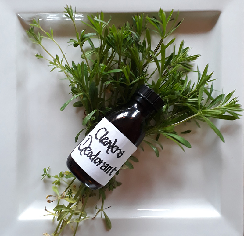 Sticky weed deodorant natural products