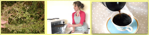 cleavers seed coffee coffee with herbs