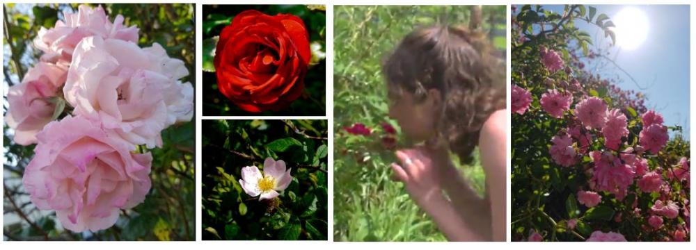 e7be9ffb39ea36b28c3b83657ea62a4d-1