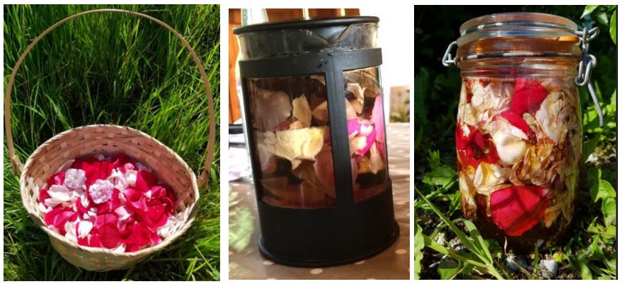 f01debf553650cbaa6387a3b2048d8b4-1