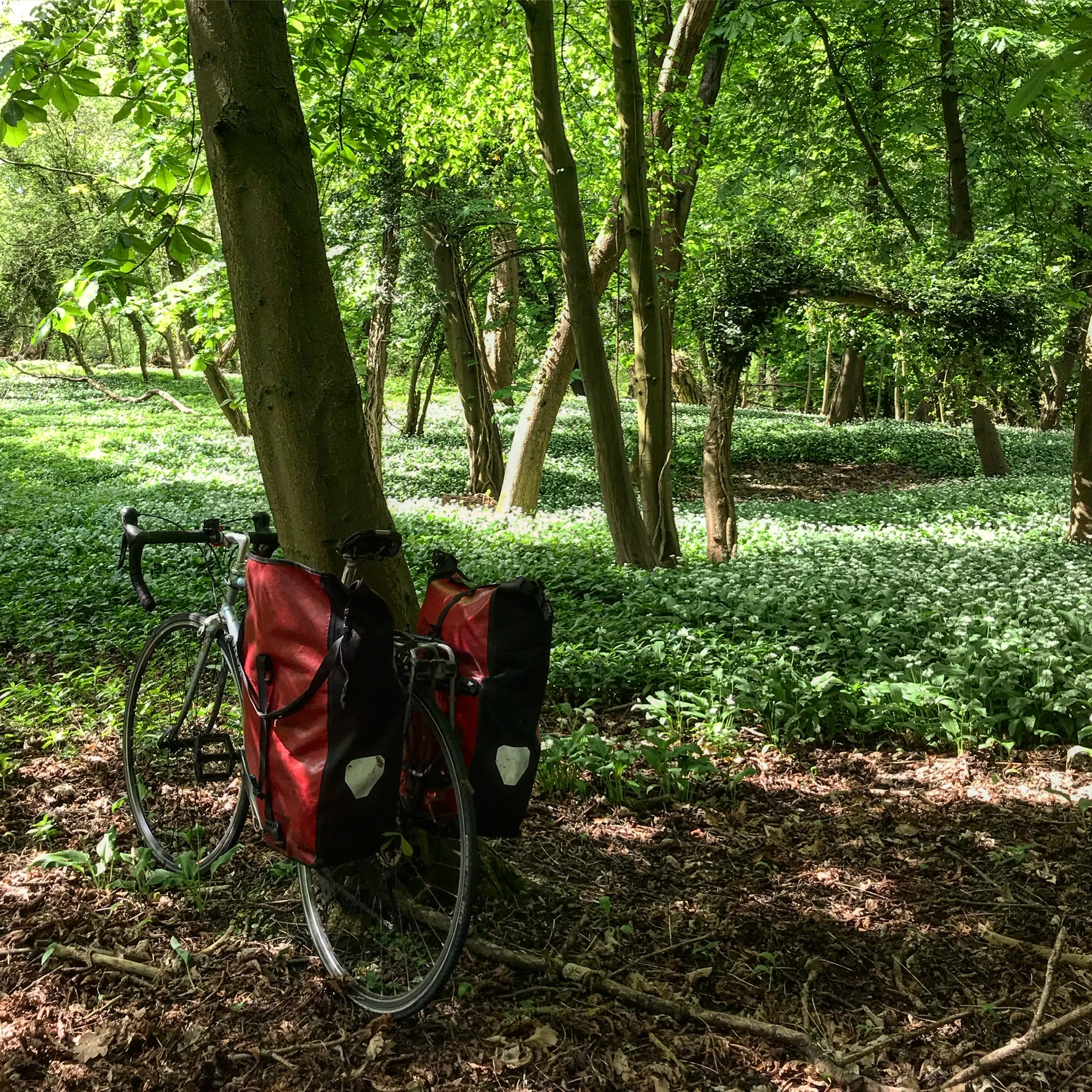 c4ff865d-11d6-457f-8268-6438c157c88f