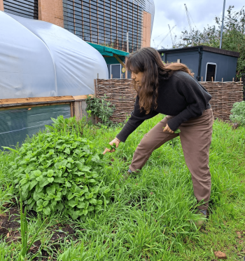 Charlotte Forage London host of wild food and wld medicine course