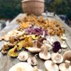 A table of wild mushrooms foraged on a Forage London course