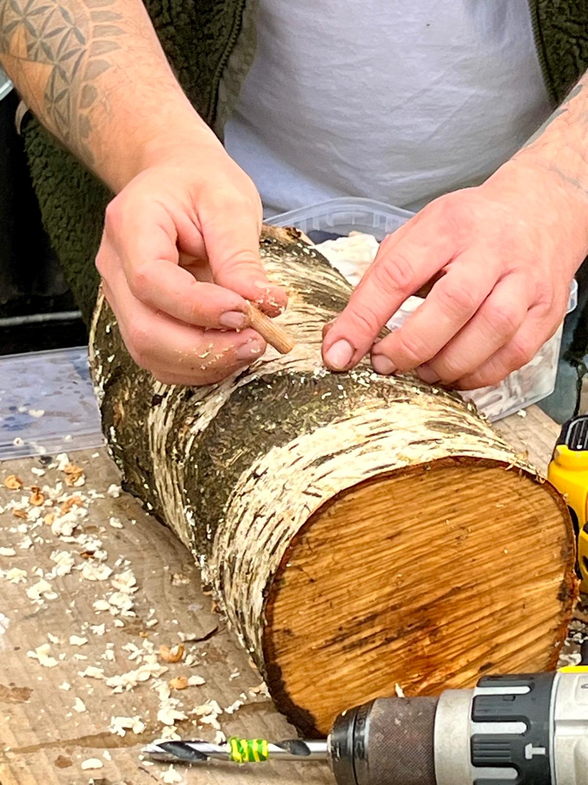Mushroom cultivating on logs at mushroom growing workshop with Forage London