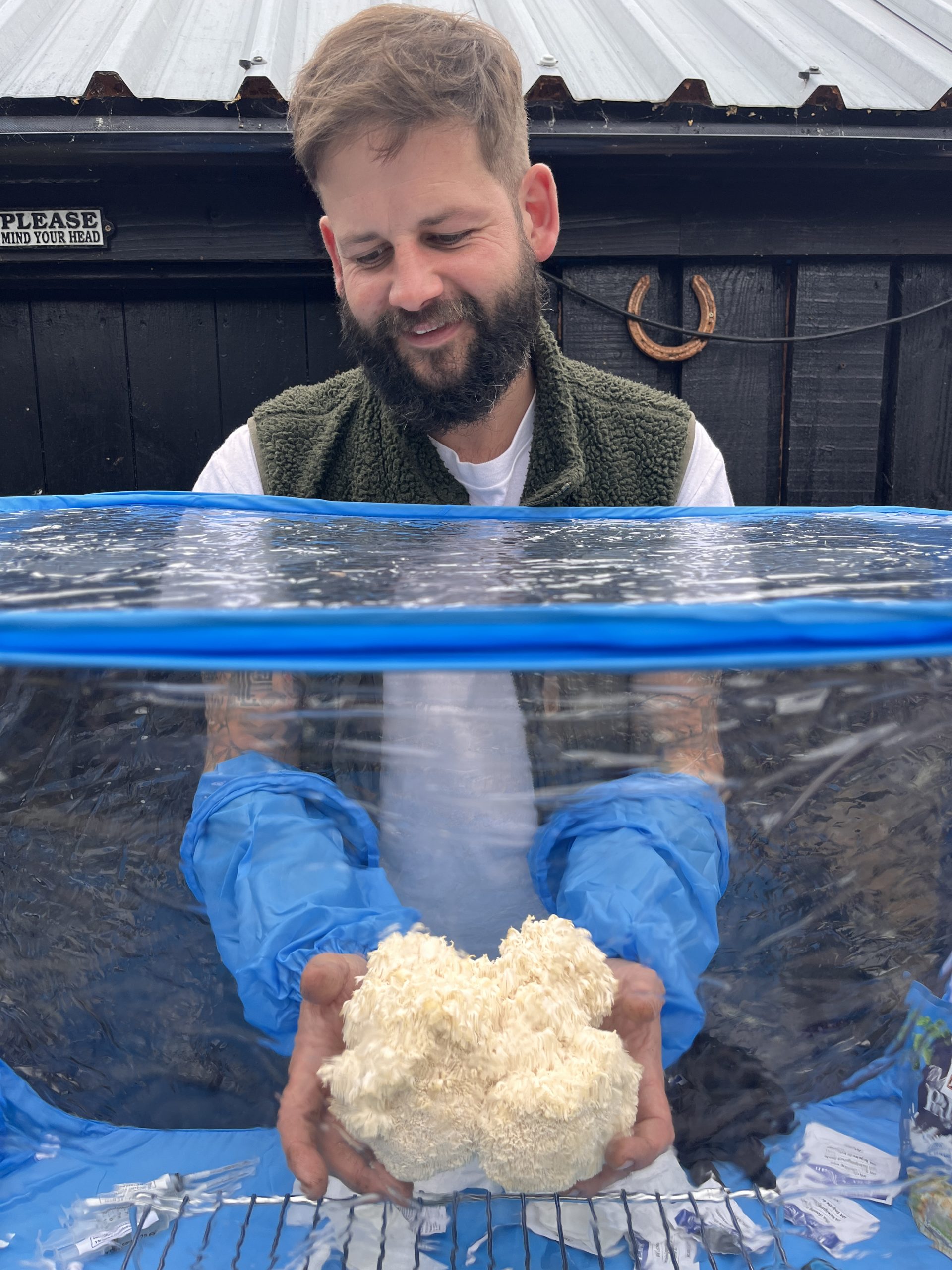 Mushroom growing workshop