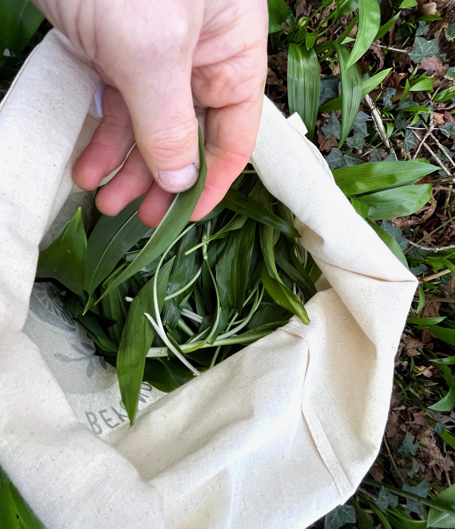 Forage London Bag open close up