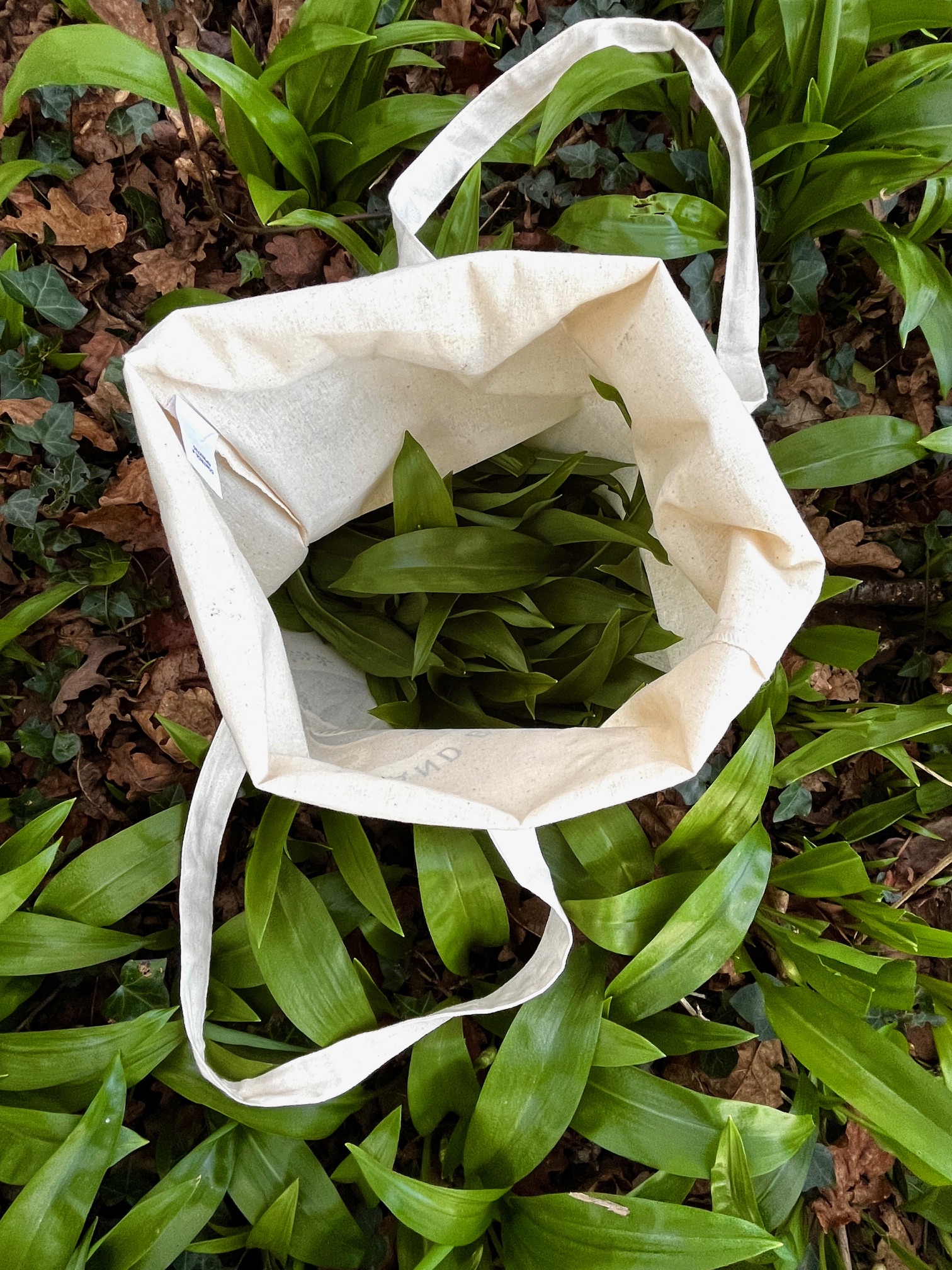 Forage London Bag open