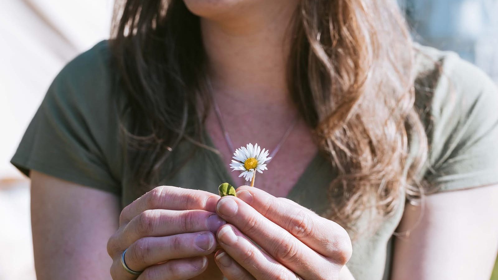 Person holding a daisy